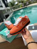 ZAPATO NK SB DUNK LOW