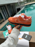 ZAPATO NK SB DUNK LOW