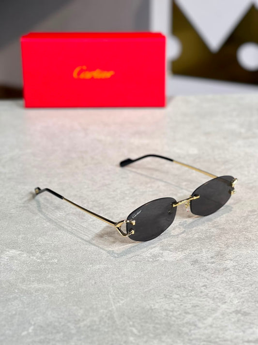 Gafas Cartier Alambre Plateado